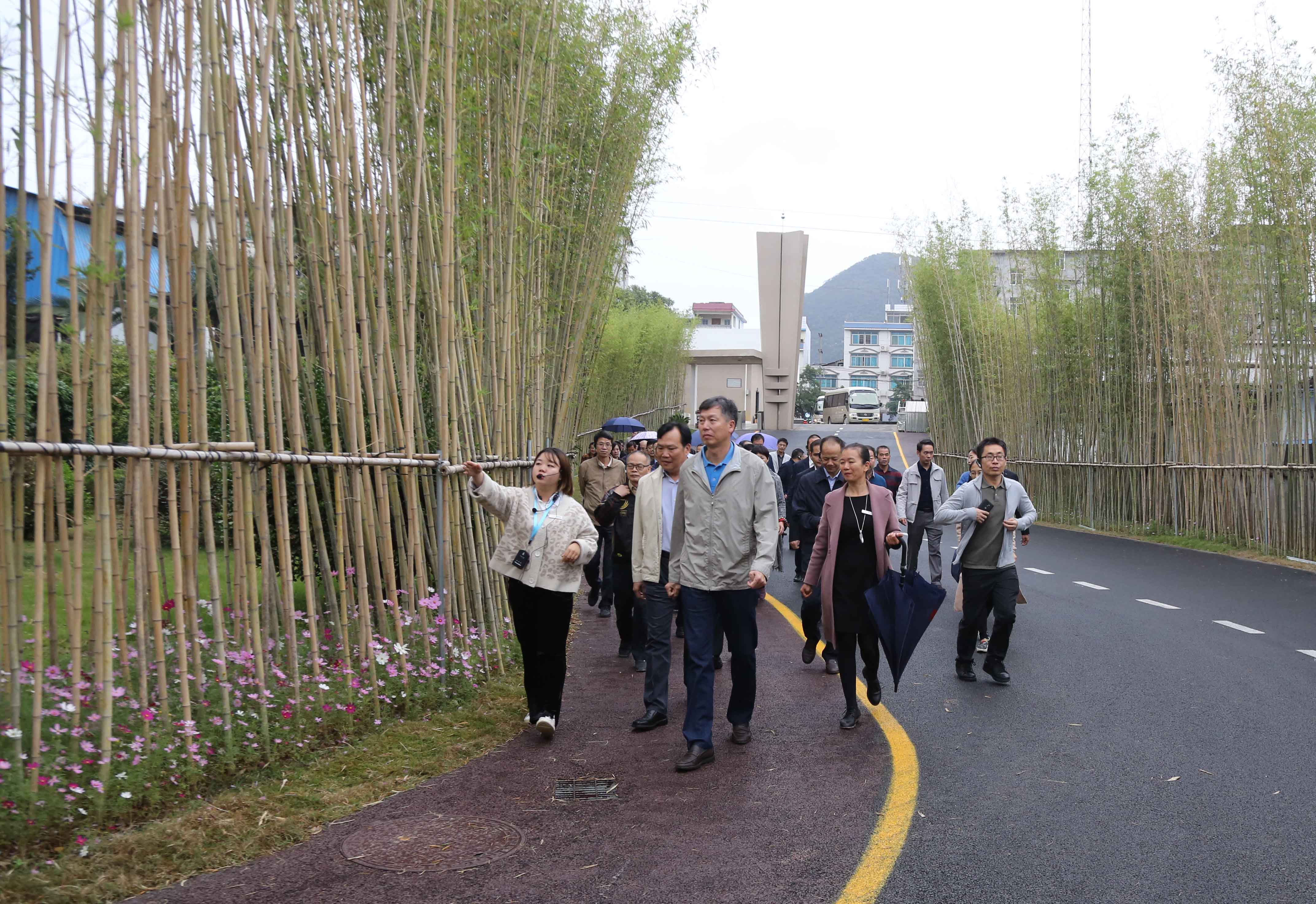 图3：10月17，柳州市人大常委会副主任刘传林（前中）率市、县（区）人大工作者到广西仙草堂灵芝产业园开展调研活动。（滕以洪 摄）