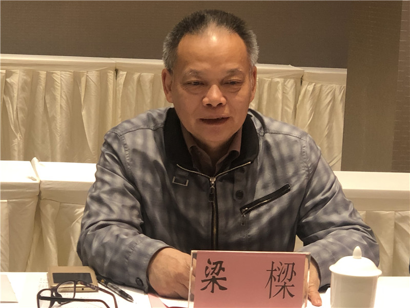 梁樑副主任汇报会上讲话 (1)