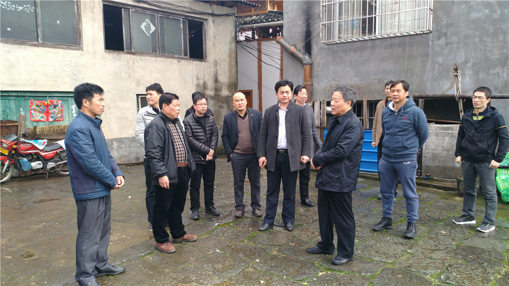 1.在三江县八江镇中朝村调研