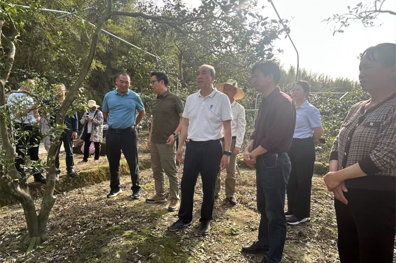 市人大常委会副主任陈宏率队赴融安县、三江侗族自治县、融水苗族自治县开展“三农”工作调研