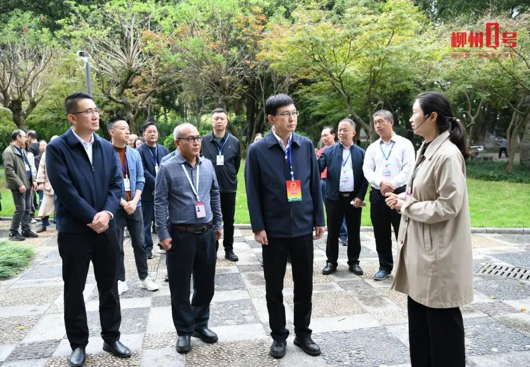 宋震寰以人大代表身份到城中区开展“混合编组、多级联动、履职为民”主题活动