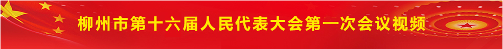 柳州市第十六届人民代表大会第一次会议视频