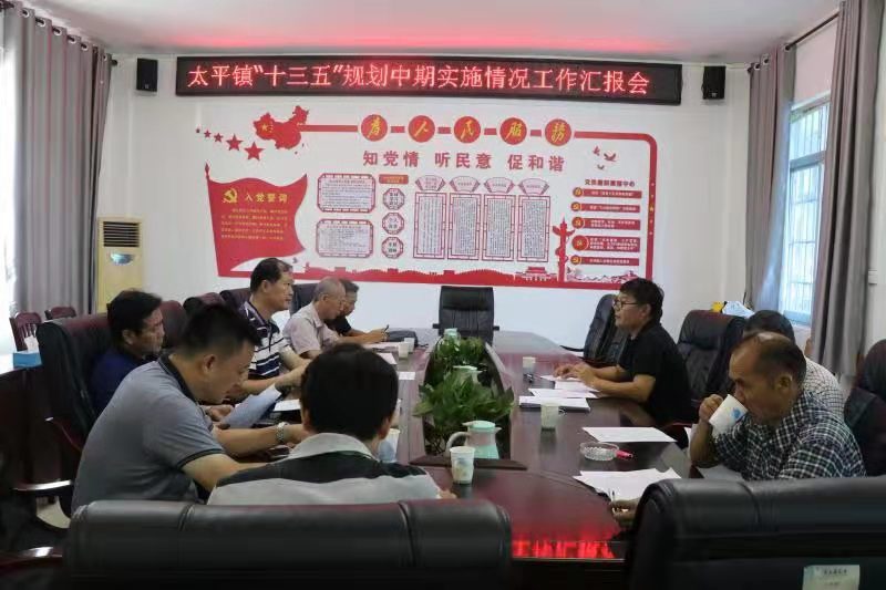视察组在太平镇开展视察