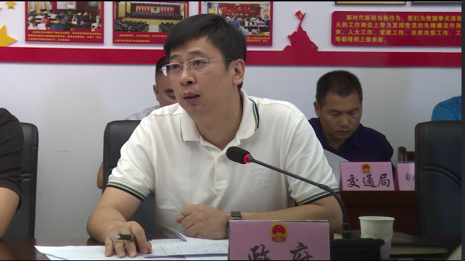 县人民政府副县长陈震汇报规划实施情况