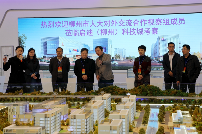 3.27市人大常委会副主任唐前明到柳江调研照片