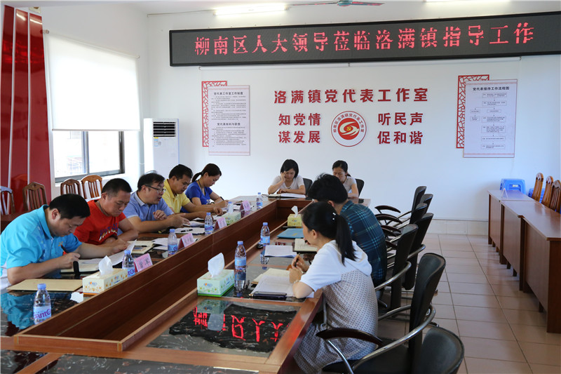 图一：听取洛满镇人大主席汇报情况