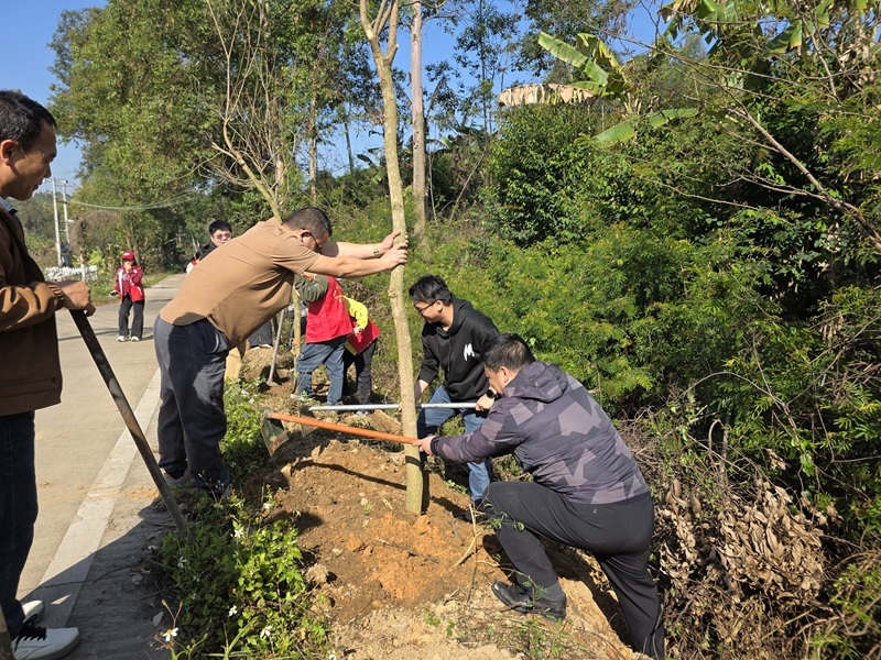 代表开展植树活动 (1).jpg