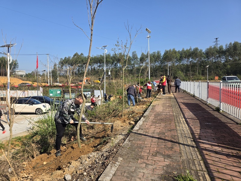 代表开展植树活动 (2).jpg