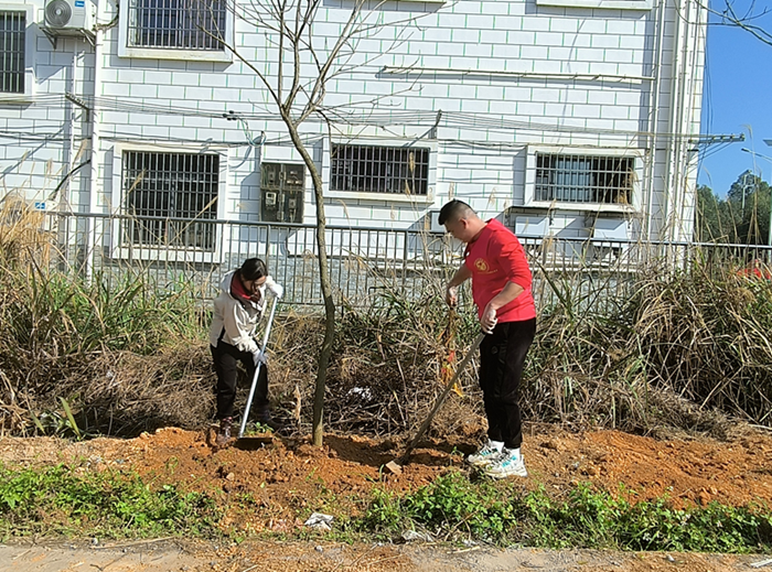 代表开展植树活动 (3).jpg