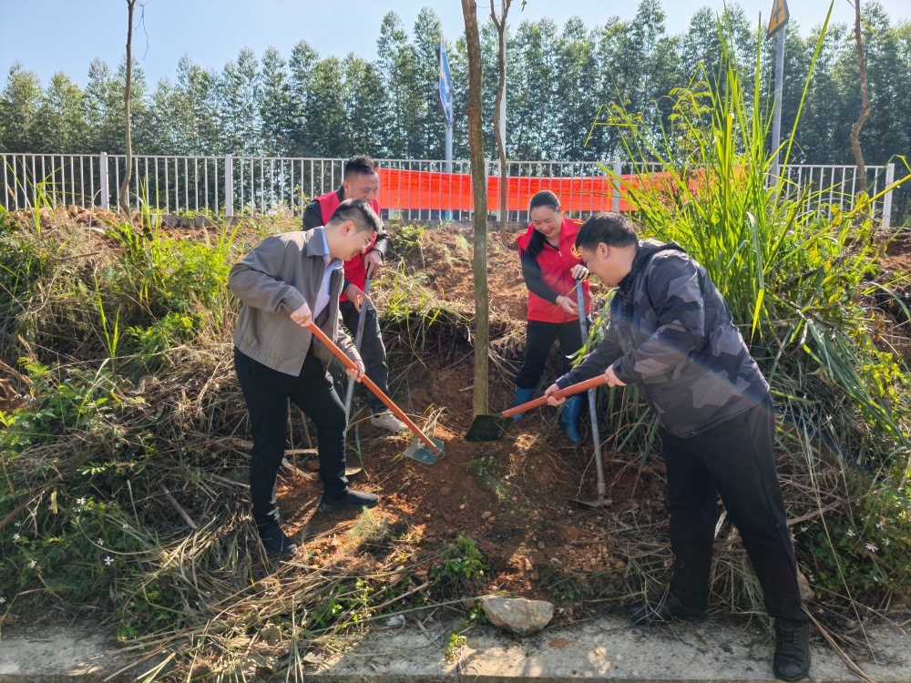 代表开展植树活动 (4).jpg