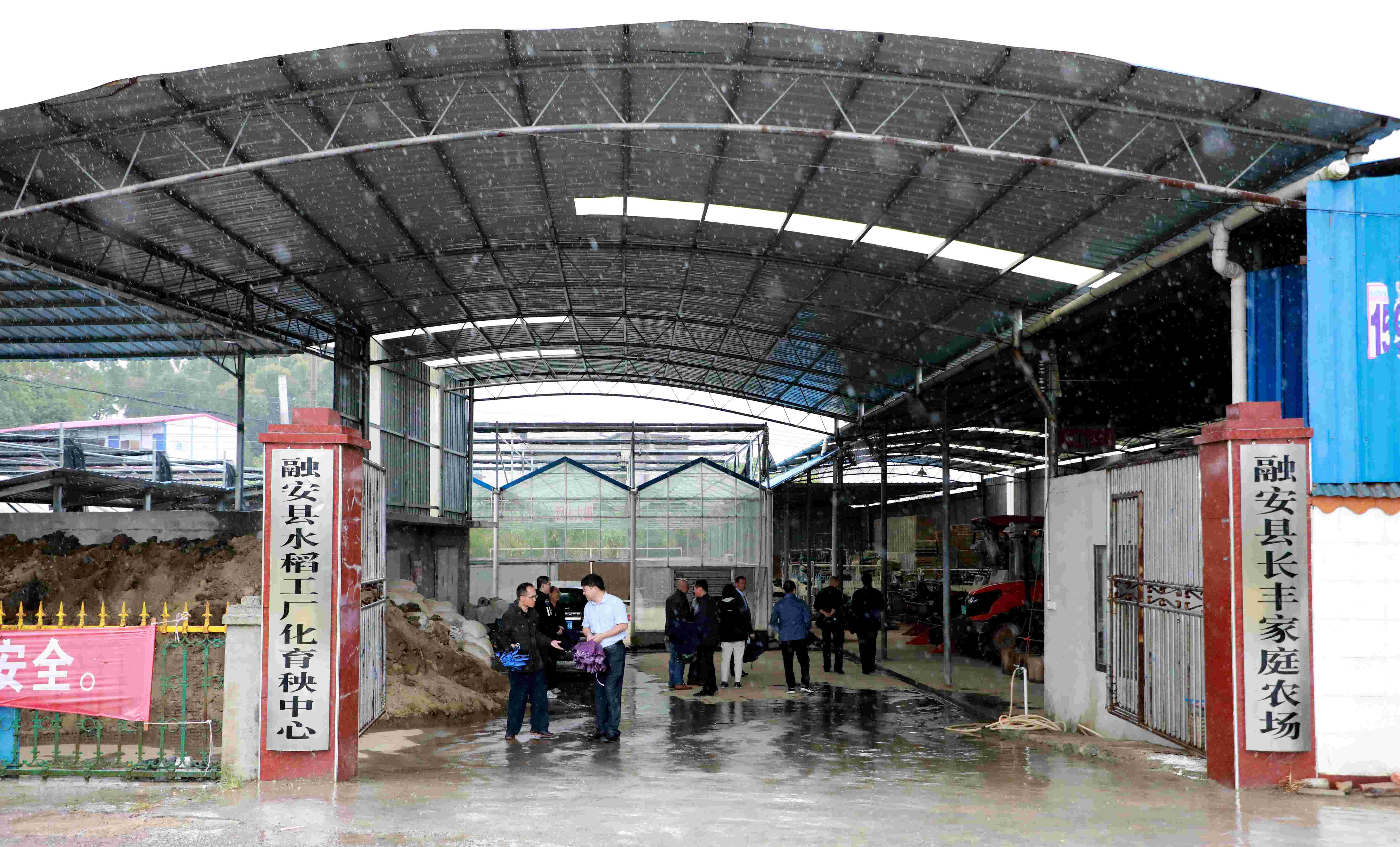 图11：10月23日，柳州市人大常委会调研组到融安县长丰家庭农场进行考察。（陈国正 摄）